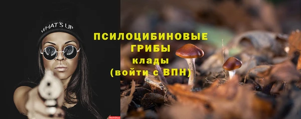 СК Балахна